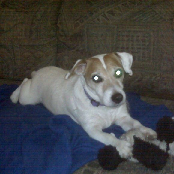 Meet your Posher, Lisa - Picture 1 of 1